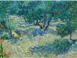 Vincent van Gogh - Olive Orchard