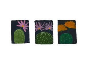 La mia casa è un giardino (grandi)